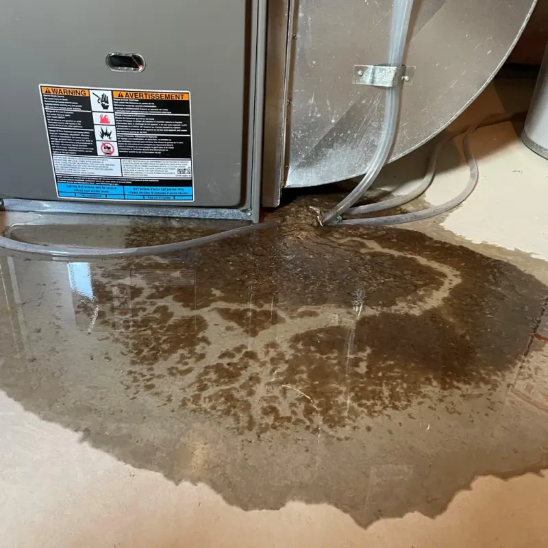 Appliance Leak Cleanup in Mitchell County, IA